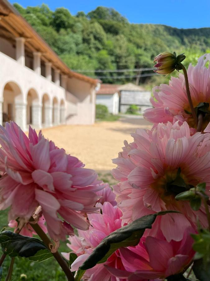 Agriturismo Il Bosco Camere Vittorio Veneto Exteriér fotografie