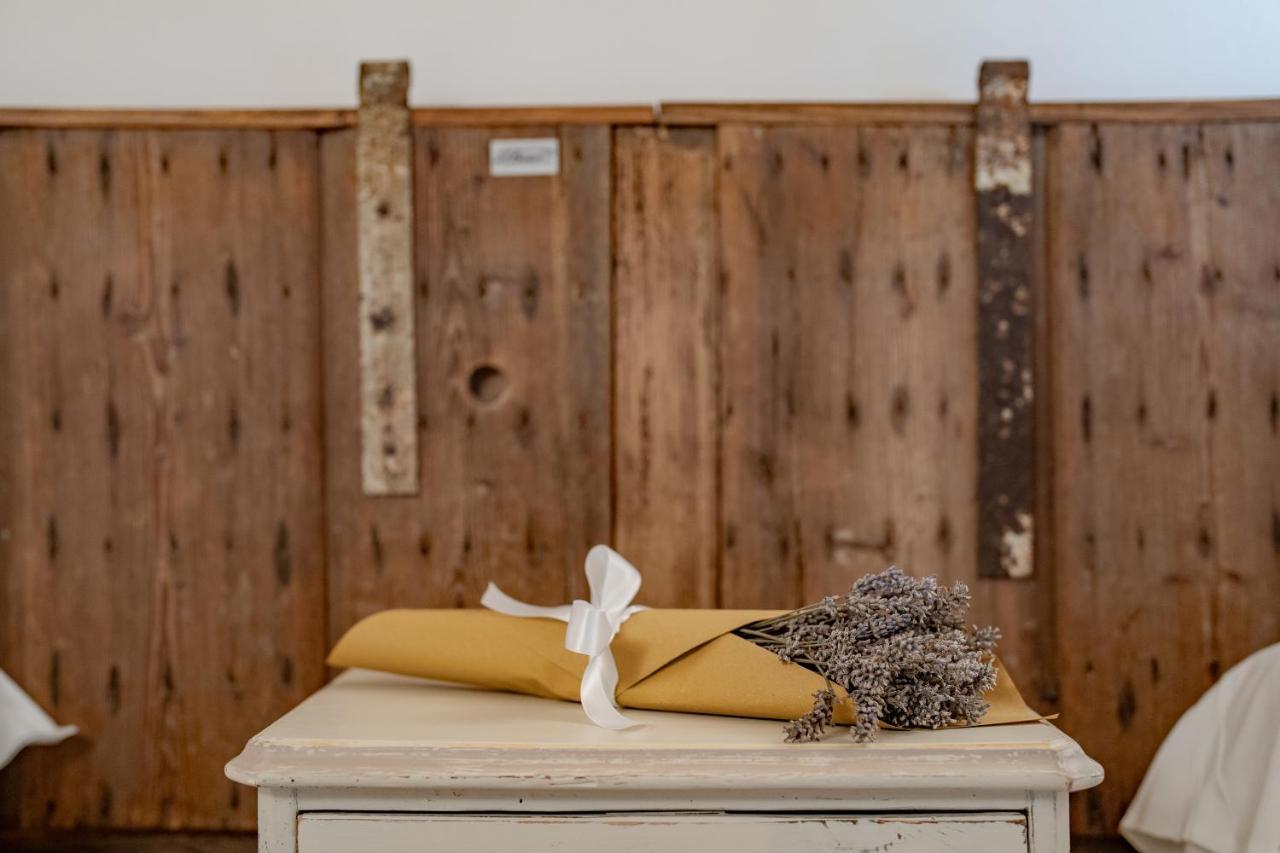 Agriturismo Il Bosco Camere Vittorio Veneto Exteriér fotografie
